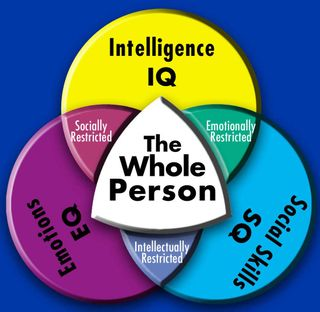 Image result for various modes of intelligence